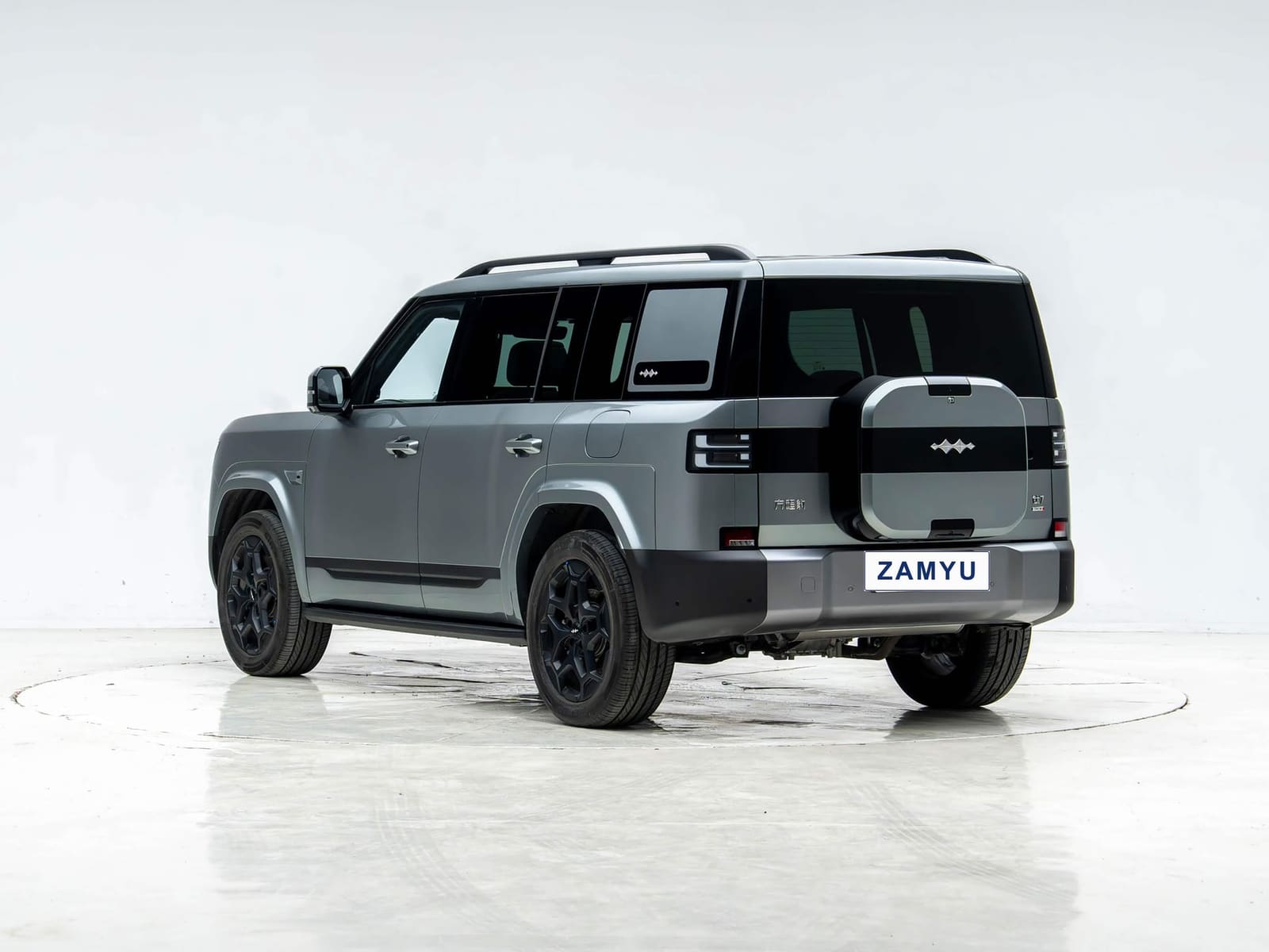 Vehicle photo — rear view